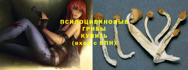 a pvp Касимов