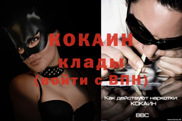 дурь Каменка