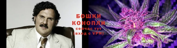 дурь Каменка