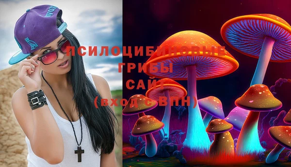 синтетический гашиш Каменногорск