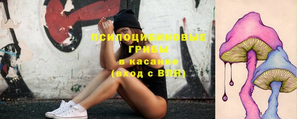 дурь Каменка