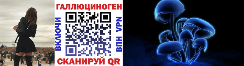 купить  цена  Рубцовск  Псилоцибиновые грибы GOLDEN TEACHER 